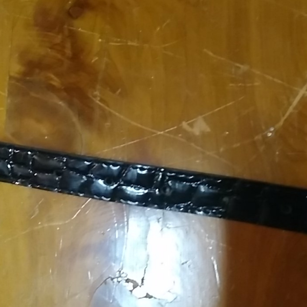 Belt